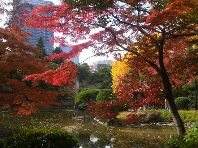 日比谷公園の紅葉_日比谷公園