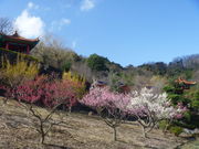トシローさんの大門碑林公園の投稿写真1