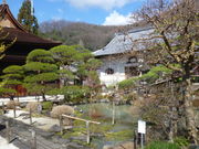 トシローさんの東光寺庭園の投稿写真1