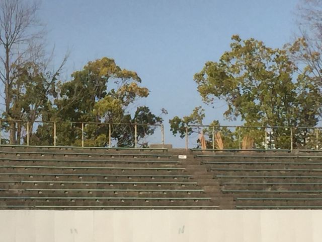外野スタンド?_旧広島市民球場跡地