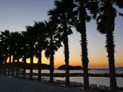 マックさんの白良浜の投稿写真10