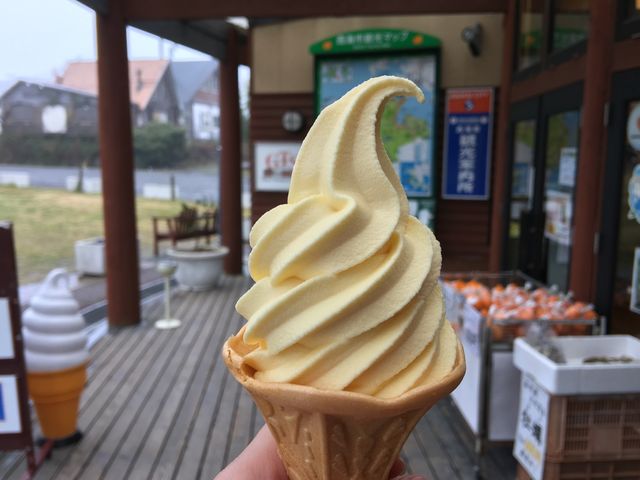 みかんソフト_道の駅さいかい みかんドーム