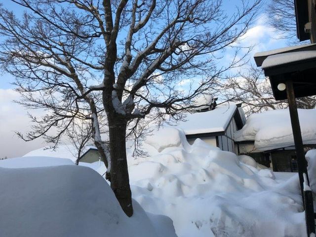 宿の説明では「特に何も無い景色なんですよ」とのことでしたがこんなに美しいんです。_縄文人の宿