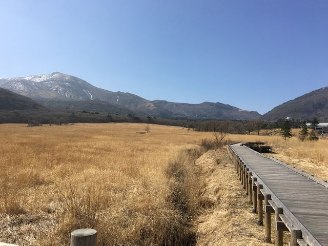 A_長者原自然研究路