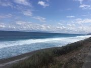 トン太さんの羽伏浦海岸の投稿写真1
