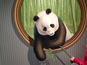 もぐらドンチャックさんの熱海トリックアート迷宮館の投稿写真5