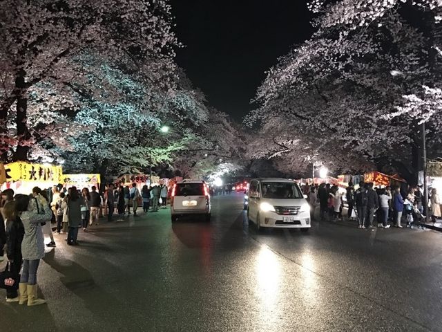 backboさんの小林牧場の桜花の投稿写真1