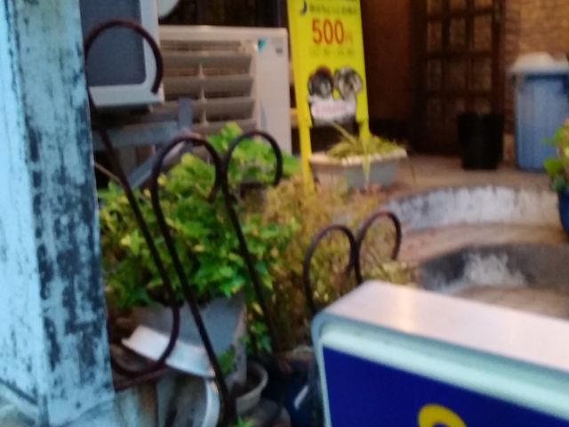 外観_伽羅