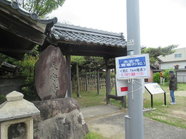 門前入り口の案内板_永安寺の雲竜の松