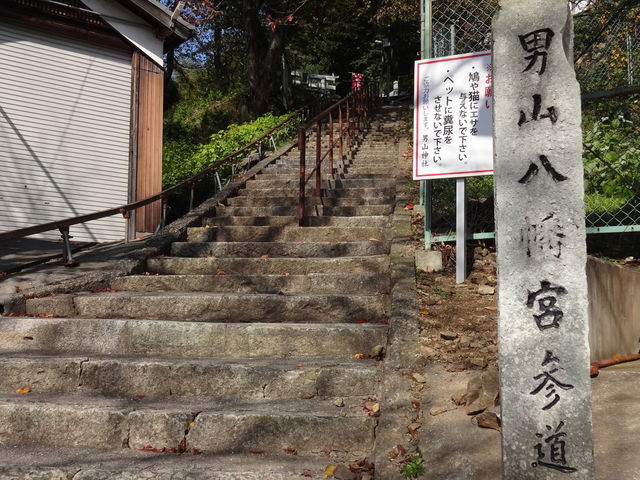 男山八幡宮_男山八幡宮