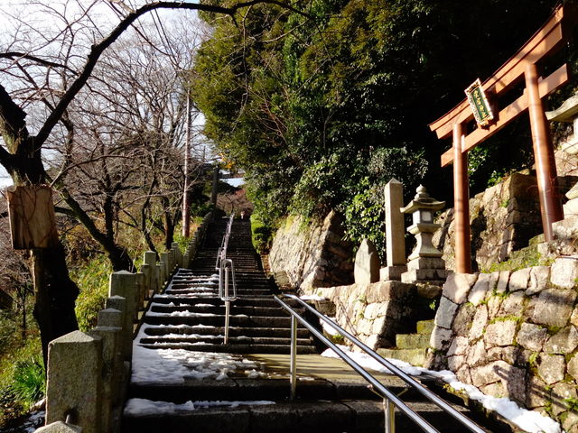 金崎宮_金崎宮