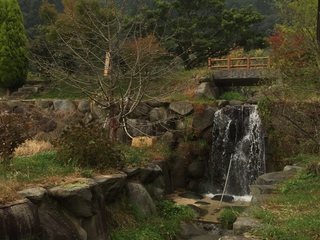 キャンプ場_おいでな菜園