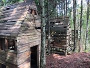 しおぴーさんの金津創作の森の投稿写真1