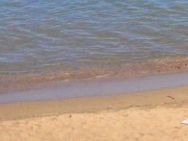橋立海水浴場_橋立海水浴場(橋立マリンビーチ)/海の家”COSTA"
