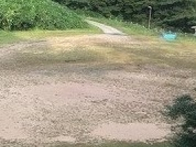 フルスピードさんの銀河の里キゴ山(こども交流棟)テントサイトの投稿写真1