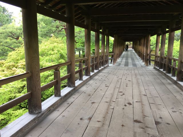 通天橋。_東福寺