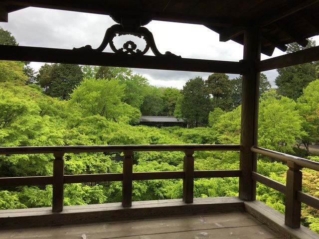 青もみじが綺麗♪_東福寺