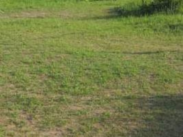 フルスピードさんの千里浜なぎさモビレージキャンプ場の投稿写真1