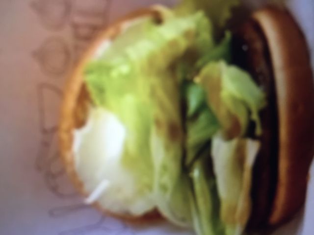 美味しい_モスバーガー外環石切店