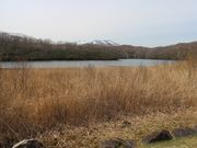 たかちゃんさんの錦大沼の投稿写真1