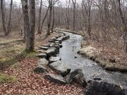 たかちゃんさんの錦大沼の投稿写真3