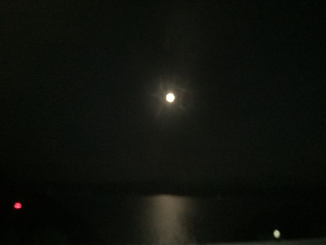 とうたんさんの大早津海水浴場の投稿写真3