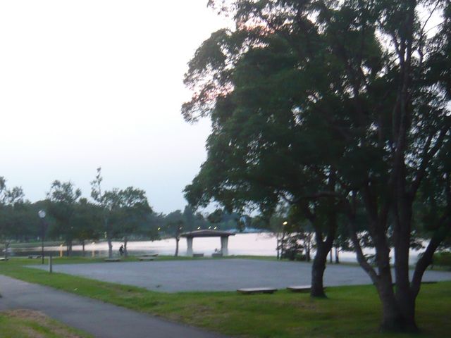 公園_オニバス(水元公園)