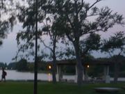 りすさんの葛飾区金魚展示場の投稿写真1