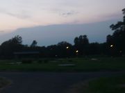 りすさんの蓮(水元公園)の投稿写真1