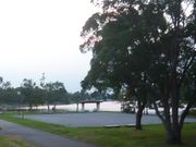 りすさんのオニバス(水元公園)の投稿写真1