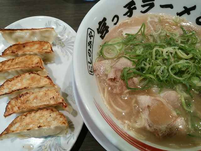 宮っ子ラーメン_宮っ子ラーメン COCOEあまがさき