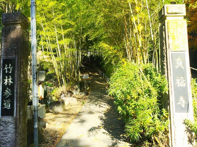 竹林参道_真福寺