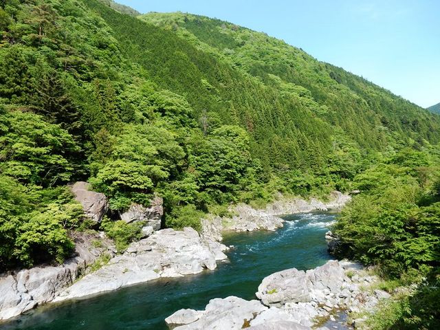中山七里_中山七里