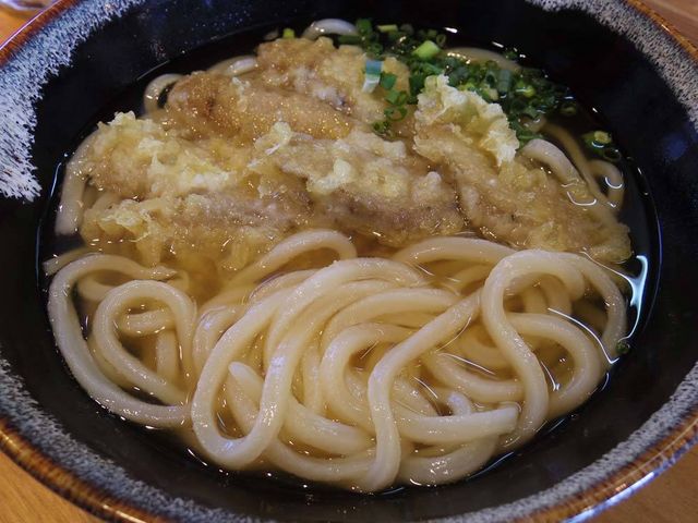 ごぼ天うどん_手打ちうどん よしの