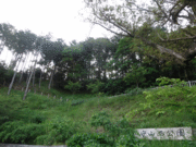 neyさんの守山西公園の投稿写真1