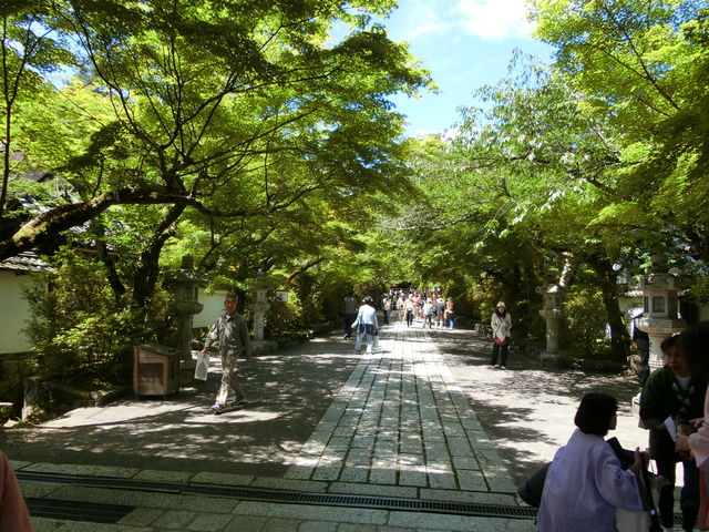 石山寺のツツジ