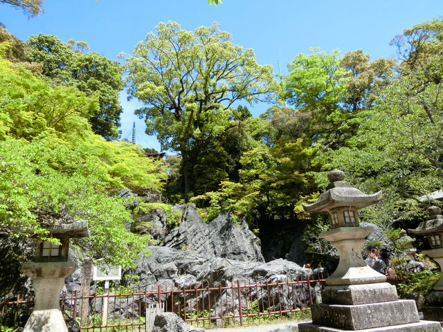 石山寺硅灰岩