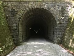 なべくんさんの天城山隧道(通称:旧天城トンネル)への投稿写真1