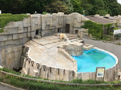 円山動物園の写真1