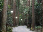 りそなさんの彌彦神社社叢の投稿写真1
