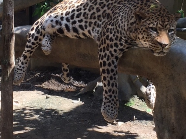 福岡市動植物園_福岡市動植物園