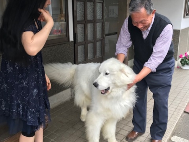 社長さんとピレネーのワンコ_味噌蔵たかむら
