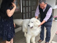 ウルトラマリンさんの味噌蔵たかむらへの投稿写真1