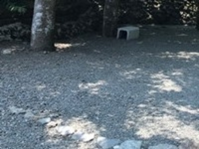 フルスピードさんの道志渓谷キャンプ場の投稿写真1