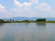 ルイさんの薬師寺東塔の投稿写真6