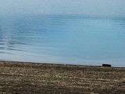 フルスピードさんの浩庵キャンプ場の投稿写真1