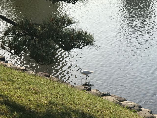 【潮入の池名称】_潮入の池名称 (浜離宮恩賜庭園)