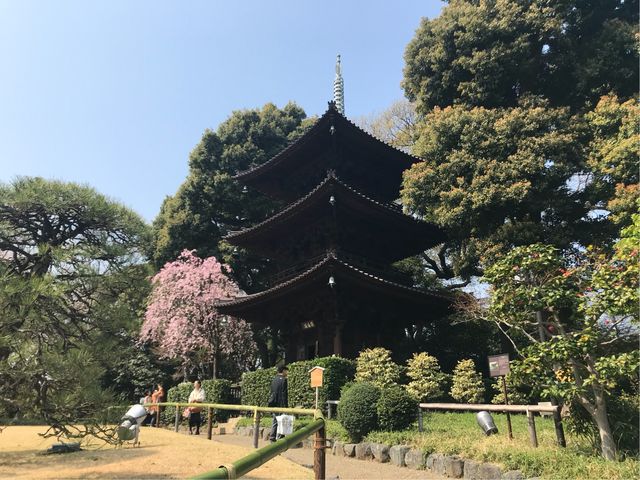 【椿山荘 庭園】三重塔は必見です_椿山荘 庭園