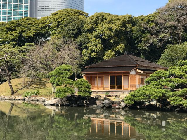 【松の御茶屋】遠景で_松の御茶屋(浜離宮恩賜庭園)
