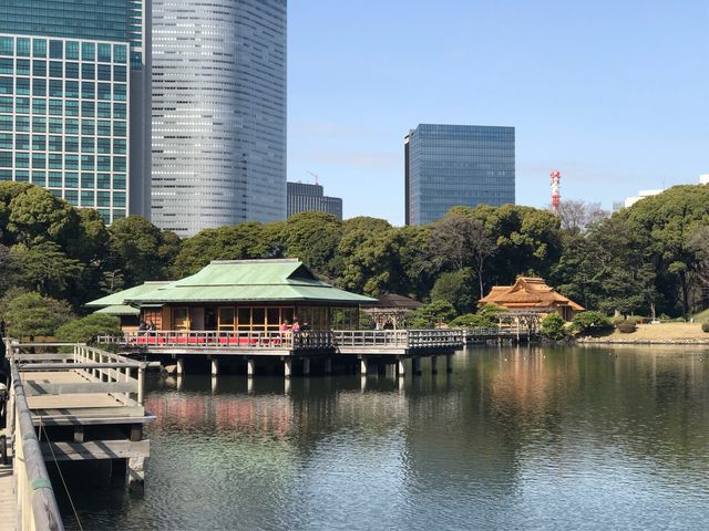 【中島の御茶屋】遠景で見ると池の上に建てられているのが分かります_中島の御茶屋